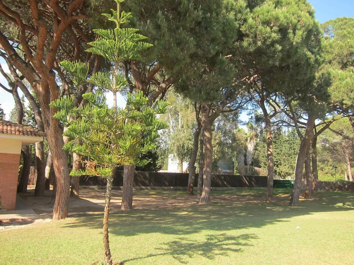 Nice Apartment Near Barcelona And Gava Beach 西班牙